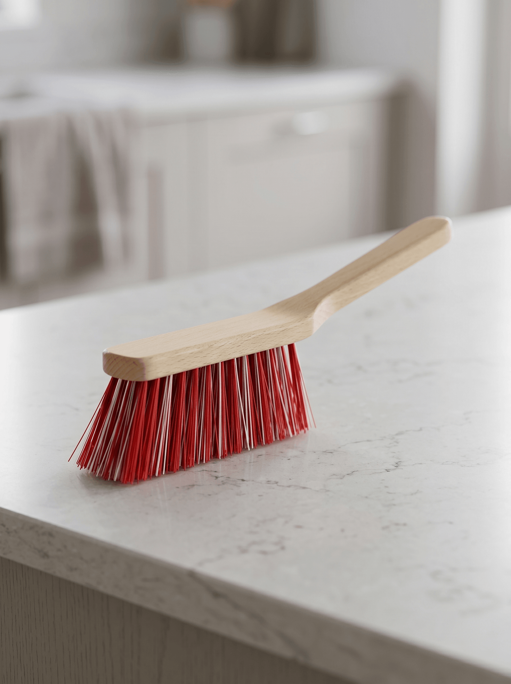 Hand carpet brush