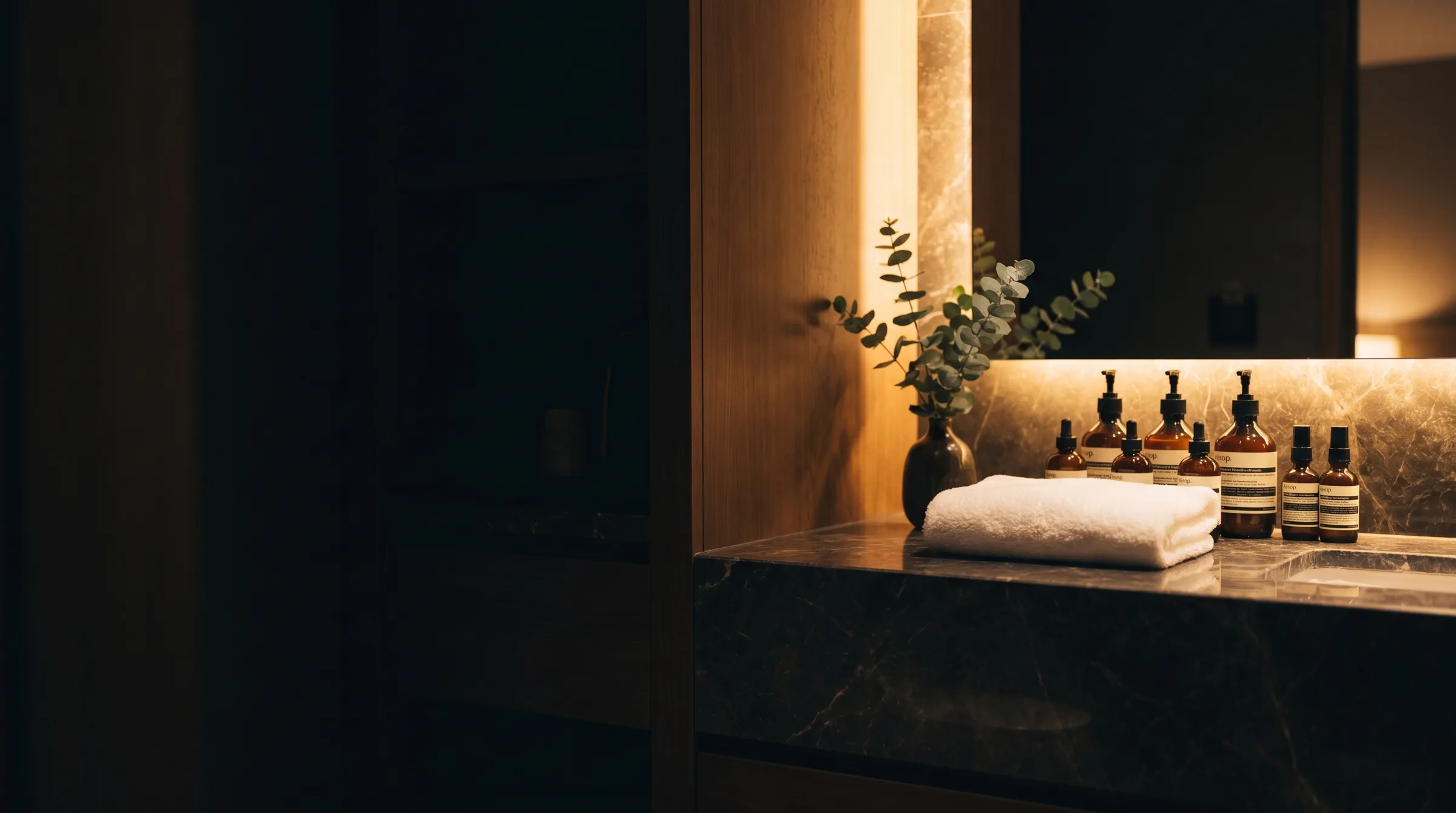 Hotel vanity area with wall-mounted bathroom amenities