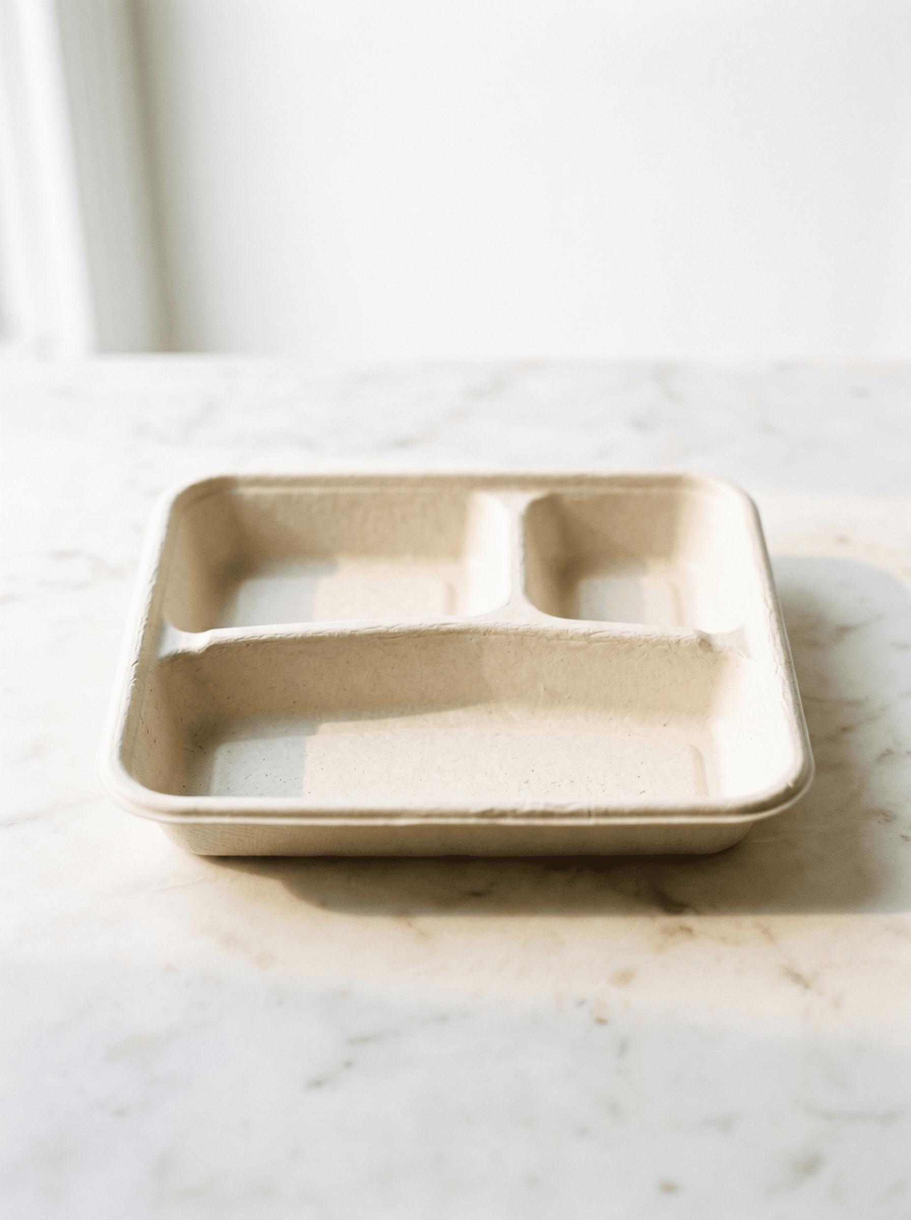 Bagasse 3 compartment meal tray