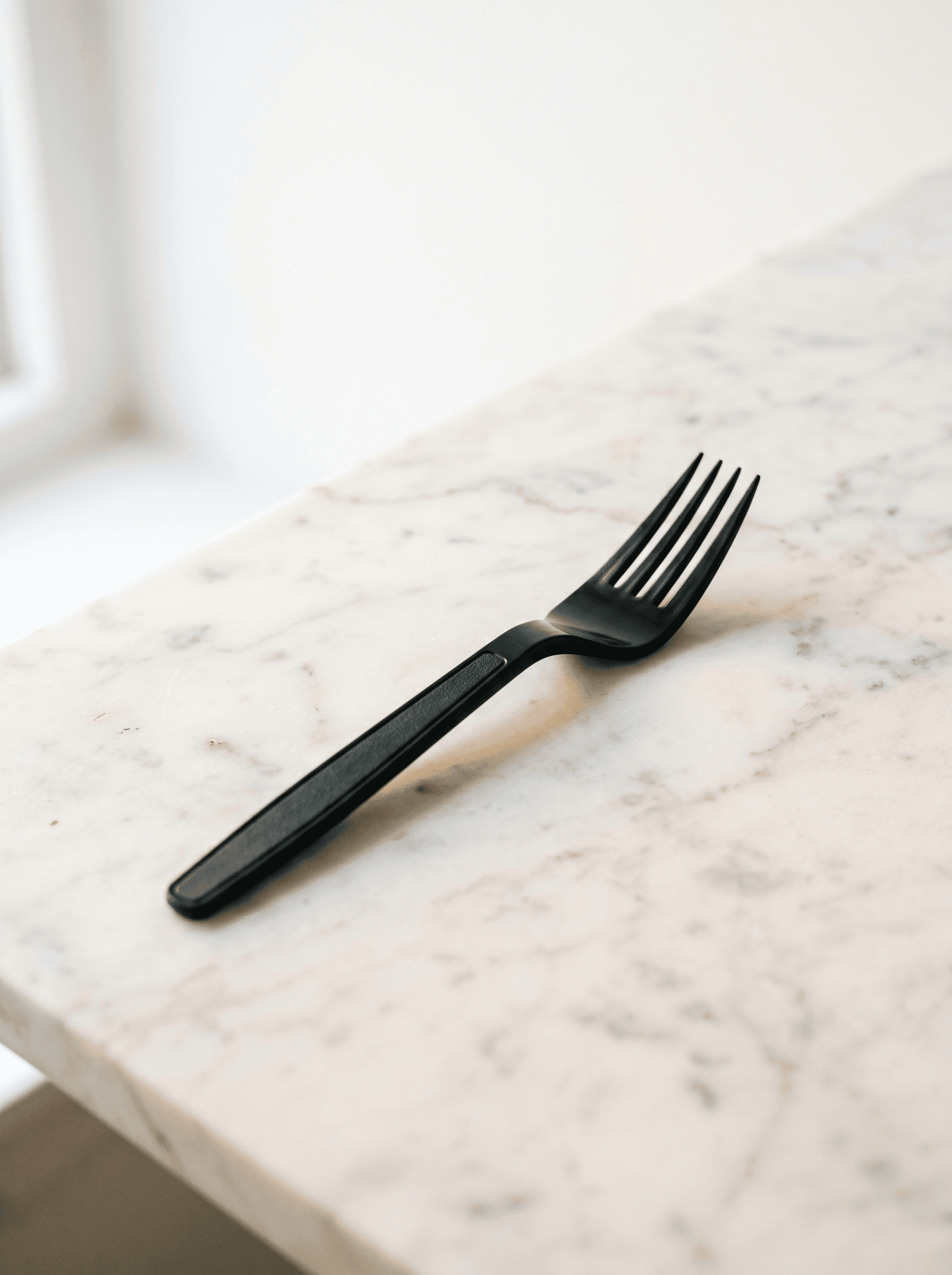 PP plastic fork and spoon black