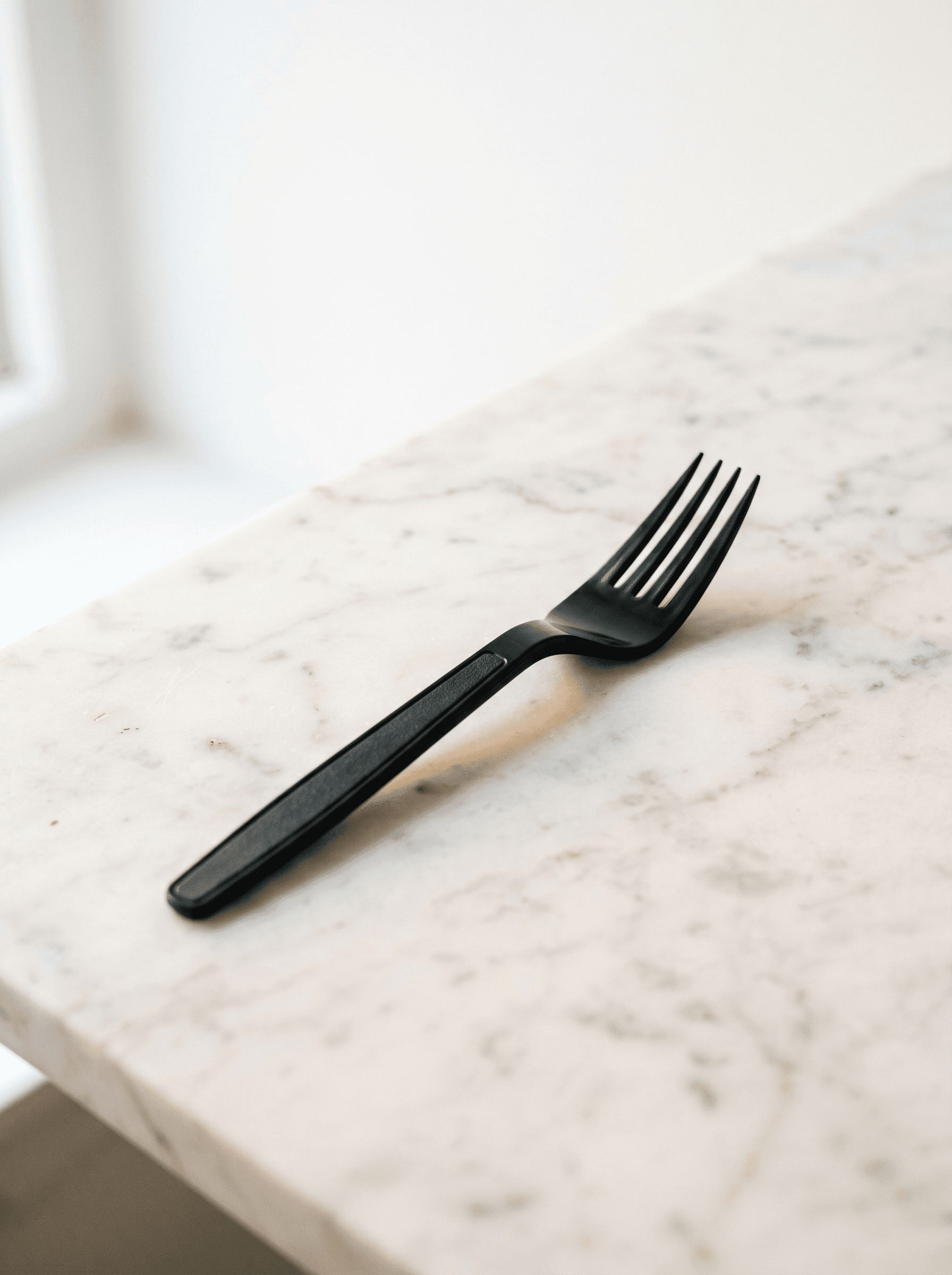 PP plastic fork and spoon black