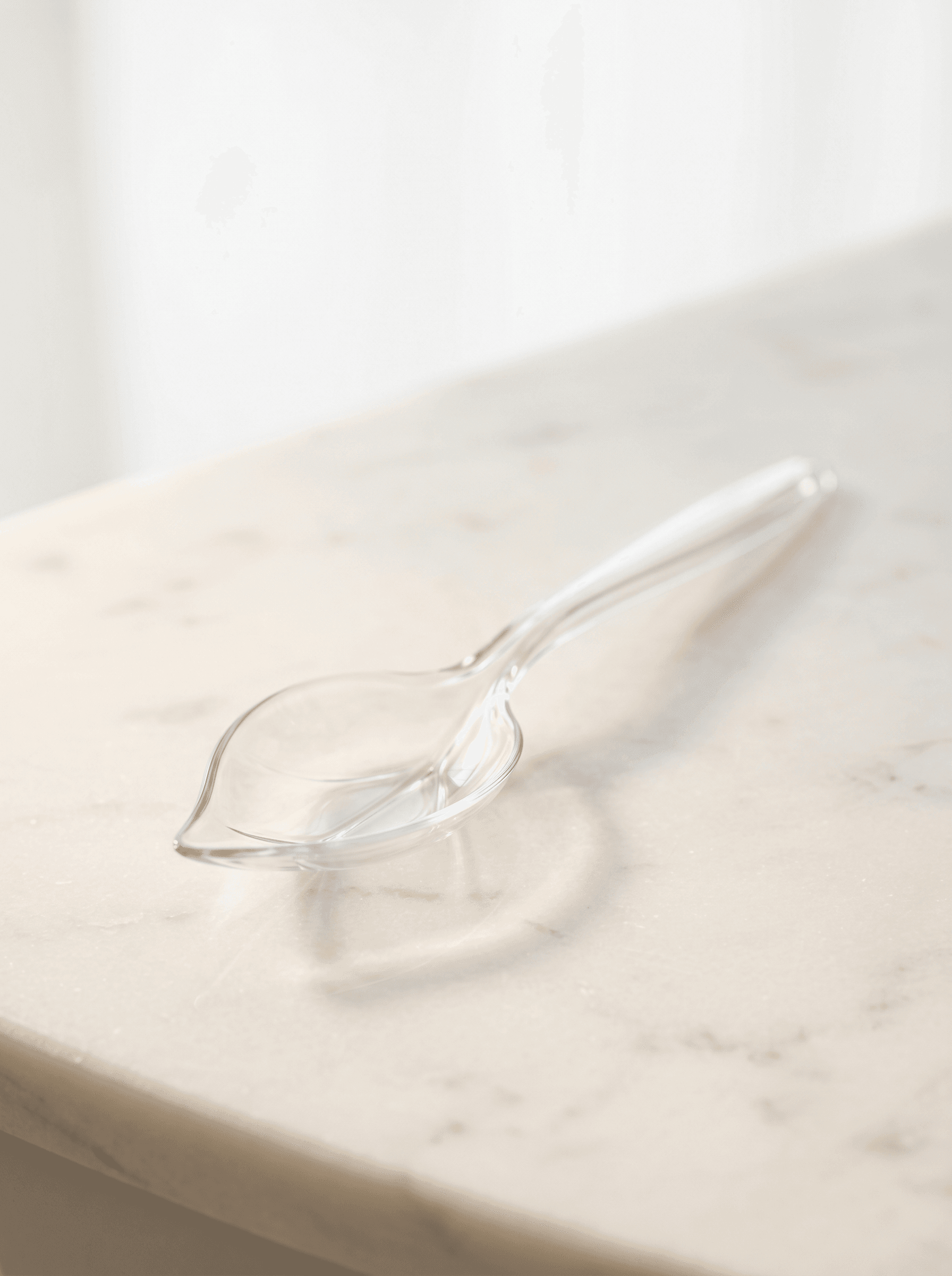 PP plastic leaf shaped spoon